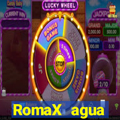 RomaX agua sanitaria fispq agua sanitaria romax